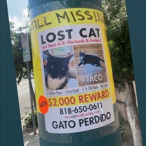 Meet your Posher, Trashana